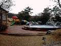iris pool 95.gif